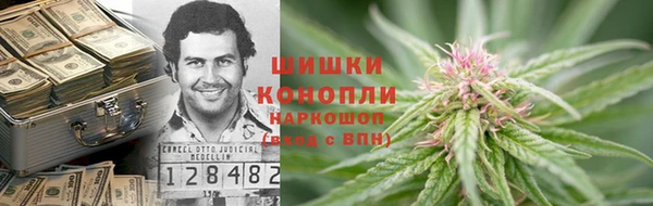 ГАЛЛЮЦИНОГЕННЫЕ ГРИБЫ Балабаново