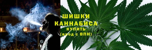 ГАЛЛЮЦИНОГЕННЫЕ ГРИБЫ Балабаново