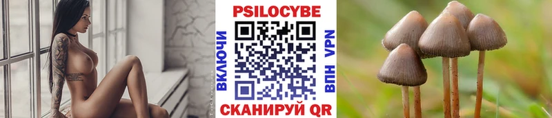 продажа наркотиков  Дагестанские Огни  Галлюциногенные грибы мицелий 