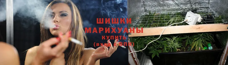 Бошки Шишки LSD WEED  Дагестанские Огни 